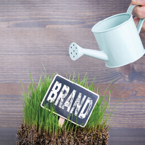 Brand concept. Fresh and green grass on wood background.