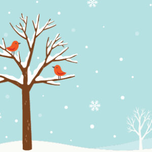 Uproar December 2020. Winter illustration scene with tree and snow with two red cardinals on the branches.